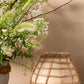 Lissome Collection Set of 4 By Accent Decor | Planters, Troughs & Cachepots | Modishstore - 12
