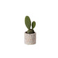 Terrazzo Collection Set of 8 By Accent Decor | Planters, Troughs & Cachepots | Modishstore - 2