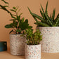 Terrazzo Collection Set of 8 By Accent Decor | Planters, Troughs & Cachepots | Modishstore - 6