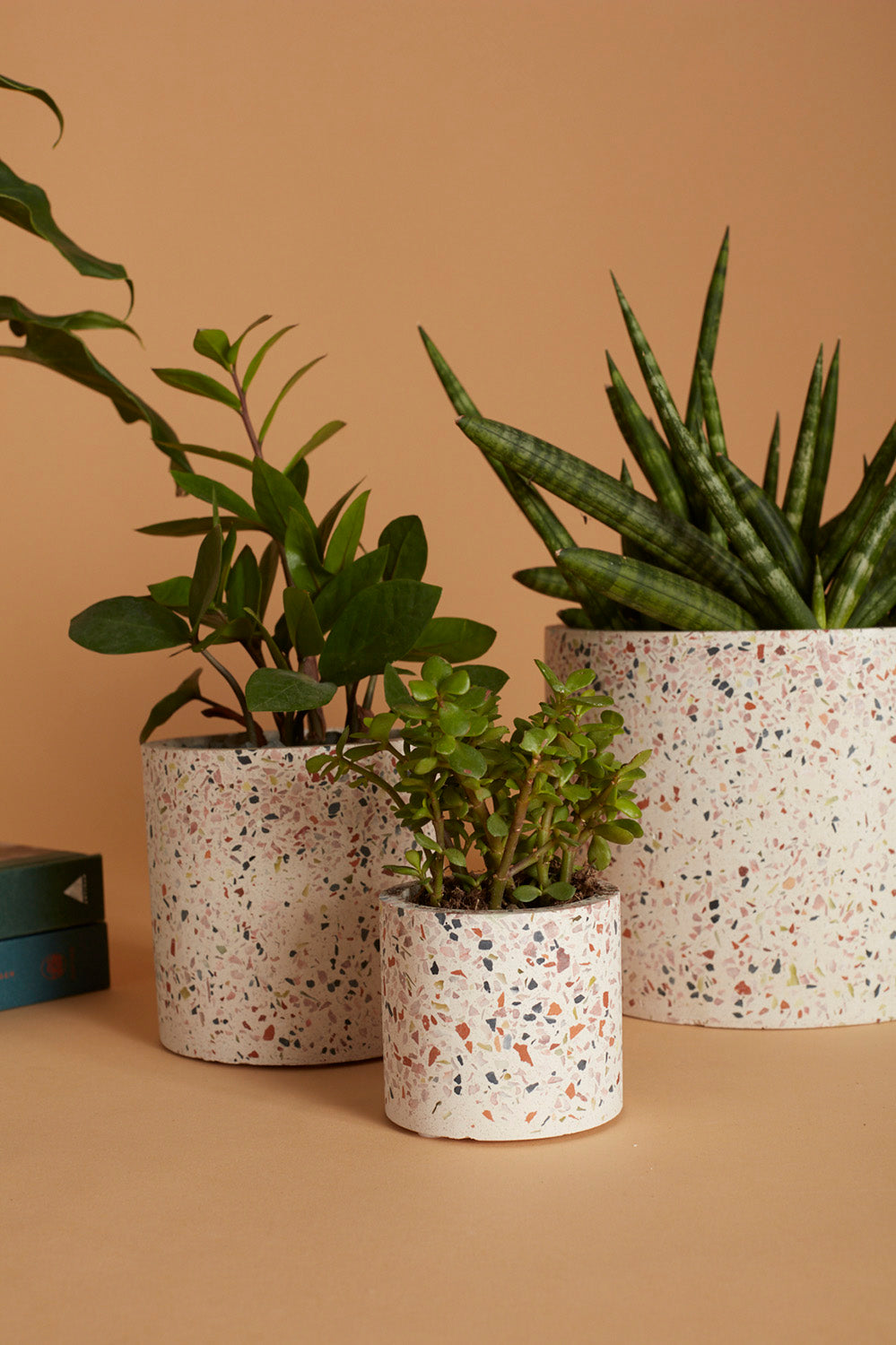 Terrazzo Collection Set of 8 By Accent Decor | Planters, Troughs & Cachepots | Modishstore - 6