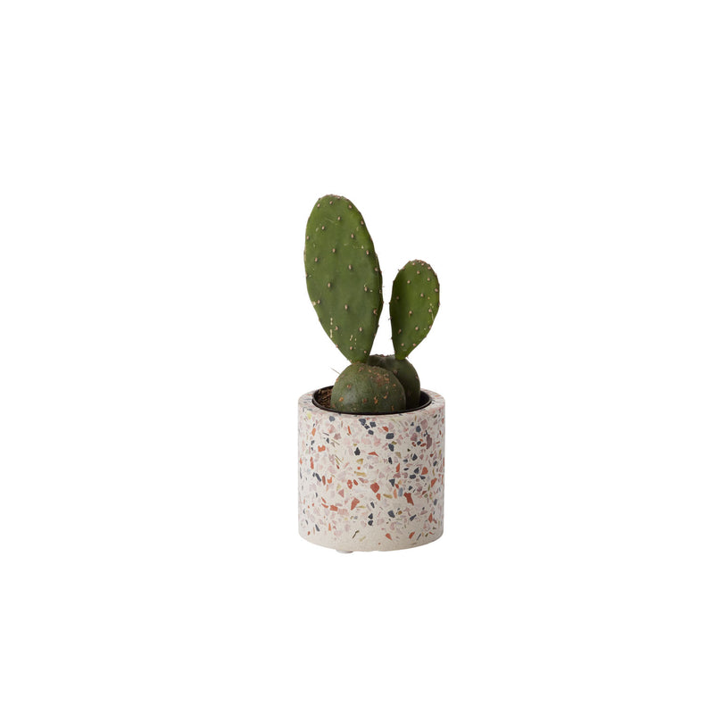 Terrazzo Collection Set of 8 By Accent Decor | Planters, Troughs & Cachepots | Modishstore - 2