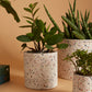 Terrazzo Collection Set of 8 By Accent Decor | Planters, Troughs & Cachepots | Modishstore - 9