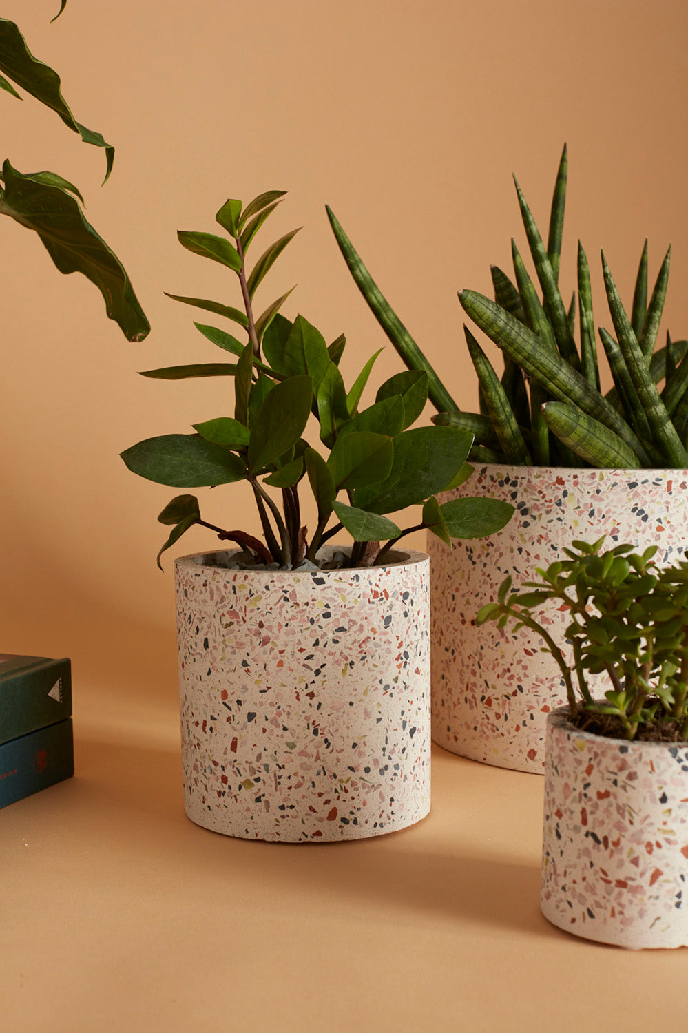 Terrazzo Collection Set of 8 By Accent Decor | Planters, Troughs & Cachepots | Modishstore - 9
