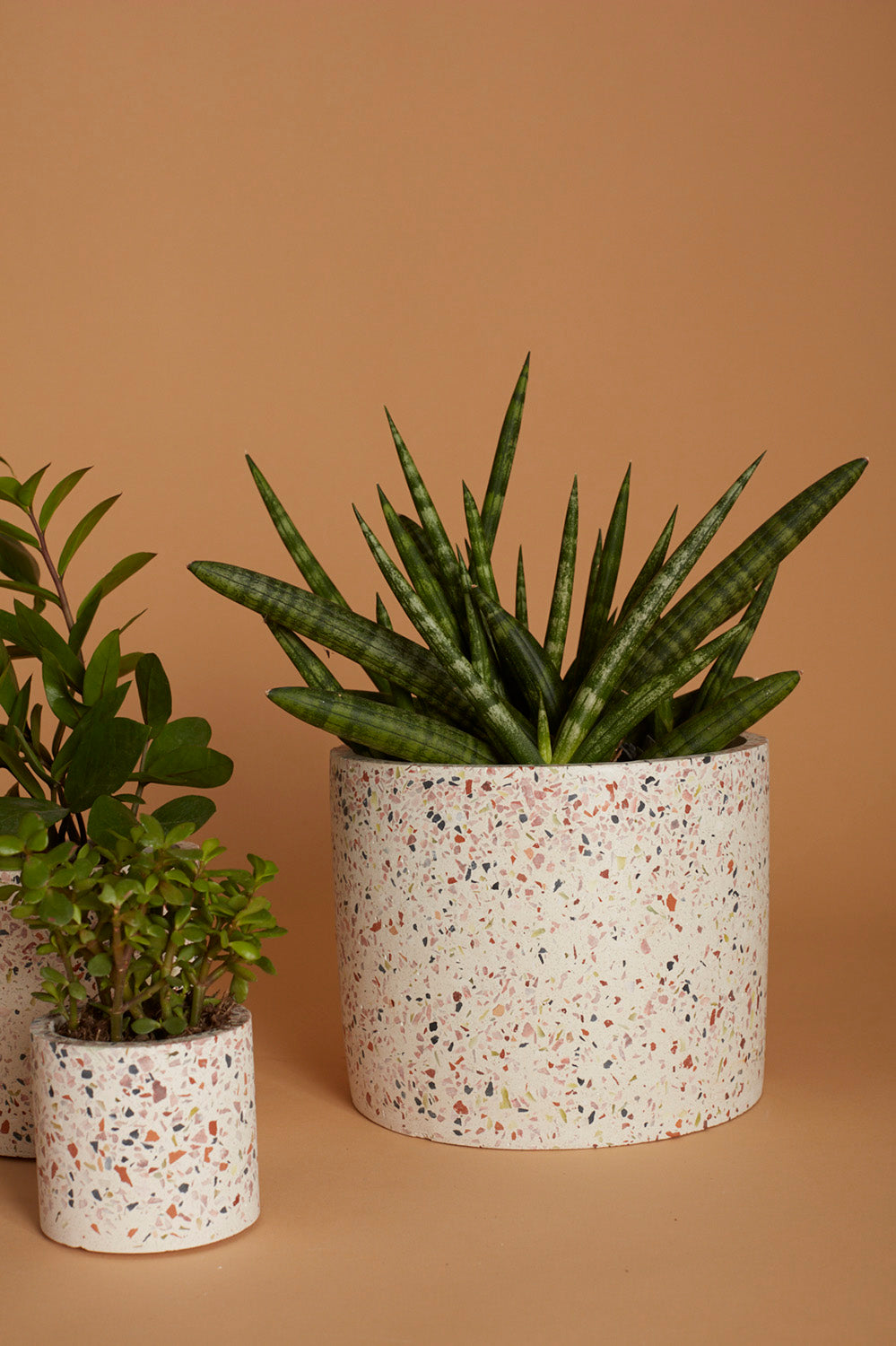 Terrazzo Collection Set of 8 By Accent Decor | Planters, Troughs & Cachepots | Modishstore - 12