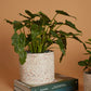 Terrazzo Collection Set of 8 By Accent Decor | Planters, Troughs & Cachepots | Modishstore - 13