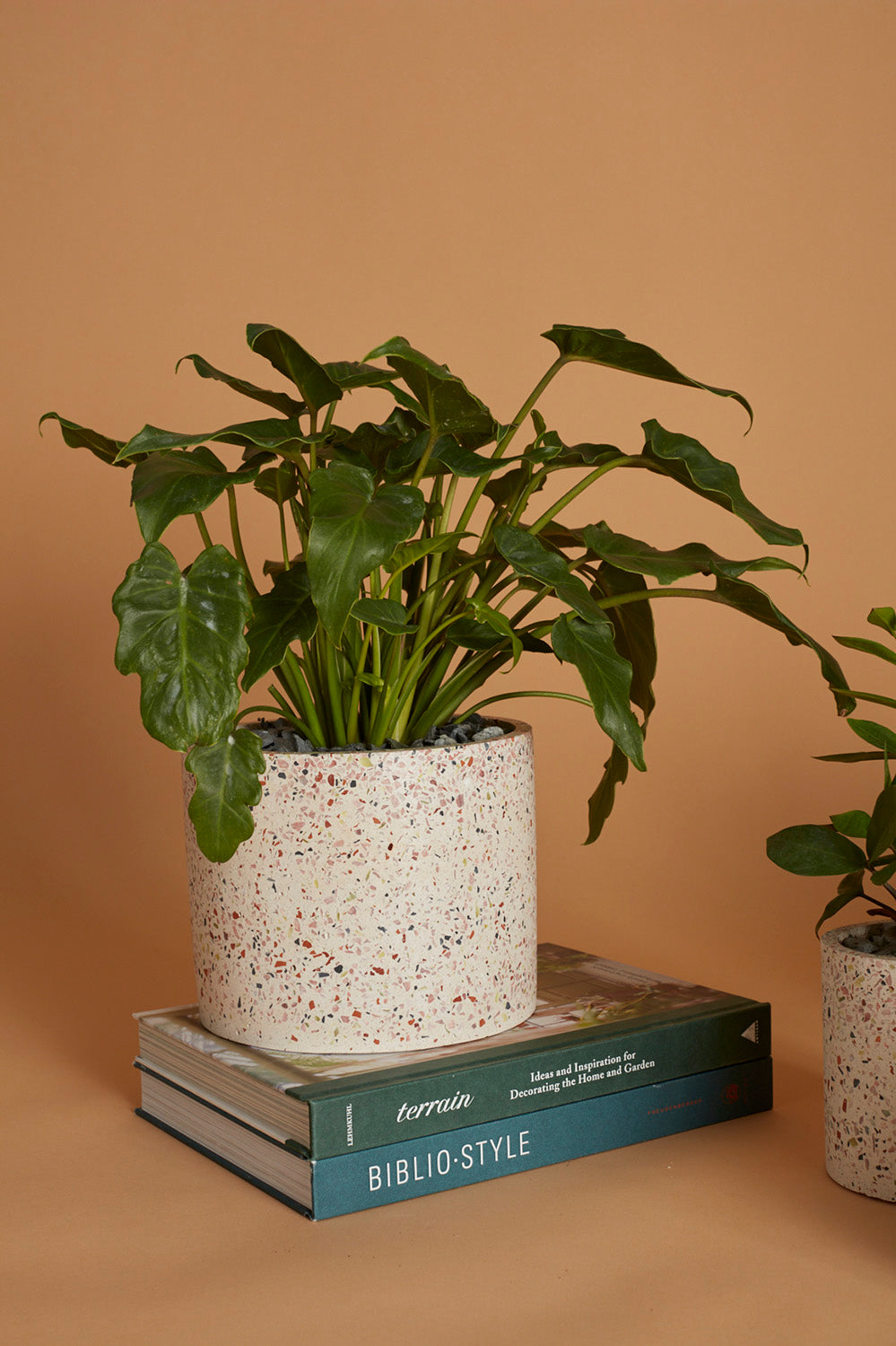 Terrazzo Collection Set of 8 By Accent Decor | Planters, Troughs & Cachepots | Modishstore - 13