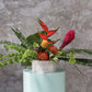 Terrazzo Collection Set of 8 By Accent Decor | Planters, Troughs & Cachepots | Modishstore - 20