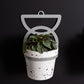 Lazaro Hanging Pot Set of 4 By Accent Decor | Planters, Troughs & Cachepots | Modishstore - 9