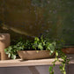 Morrigan Collection Set of 8 By Accent Decor | Planters, Troughs & Cachepots | Modishstore - 10