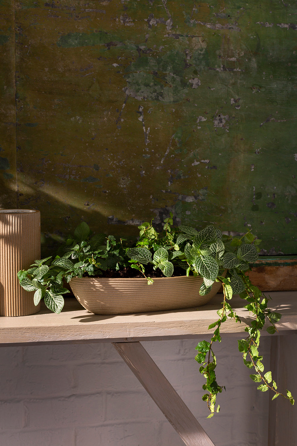 Morrigan Collection Set of 8 By Accent Decor | Planters, Troughs & Cachepots | Modishstore - 10