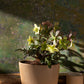 Morrigan Collection Set of 8 By Accent Decor | Planters, Troughs & Cachepots | Modishstore - 14