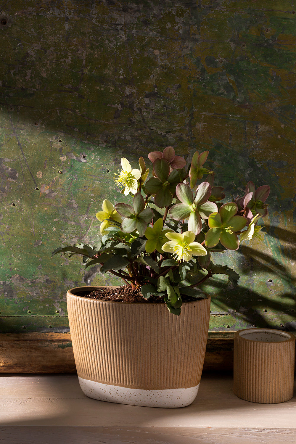 Morrigan Collection Set of 8 By Accent Decor | Planters, Troughs & Cachepots | Modishstore - 14