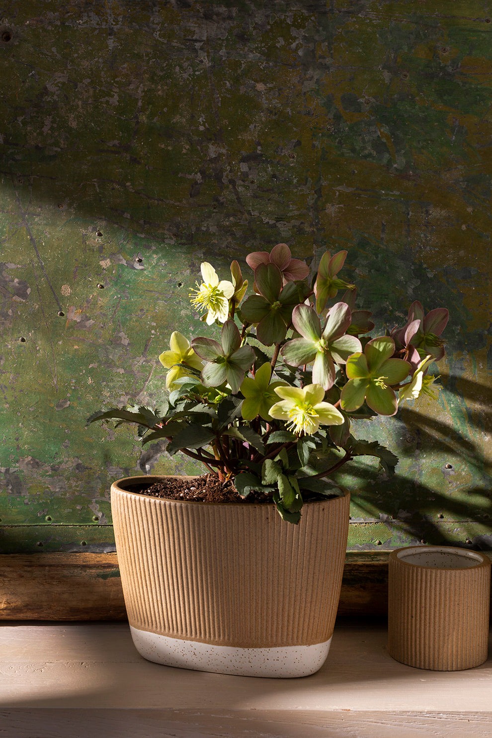Morrigan Collection Set of 8 By Accent Decor | Planters, Troughs & Cachepots | Modishstore - 14