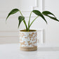 Foxtail Pot with Saucer Set of 4 By Accent Decor | Planters, Troughs & Cachepots | Modishstore - 8