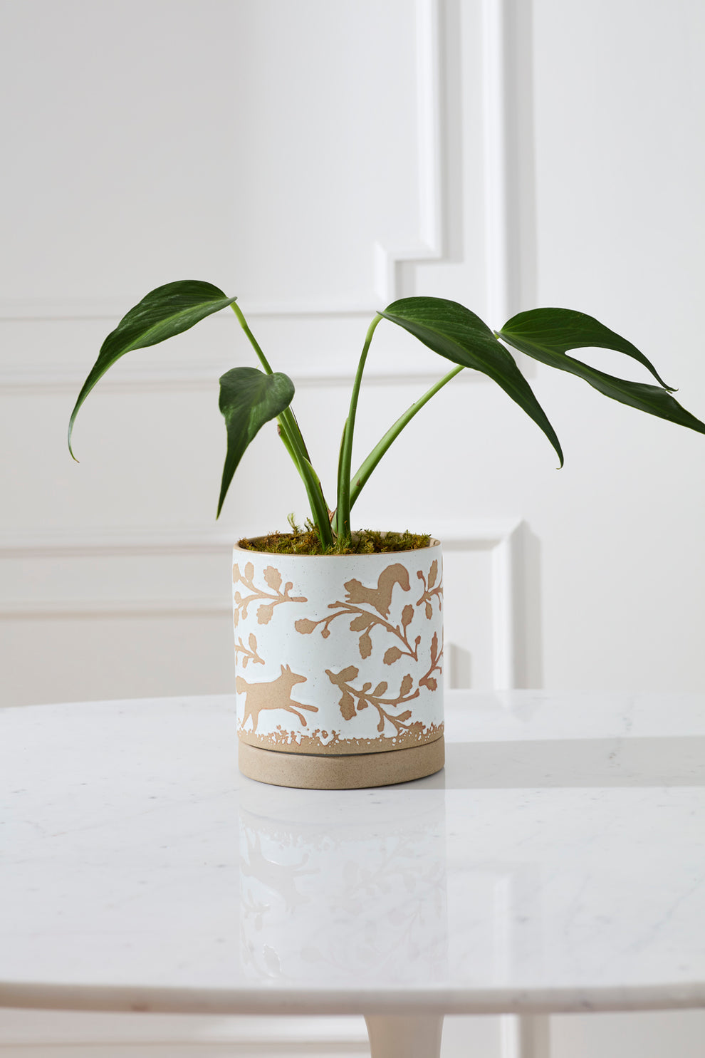 Foxtail Pot with Saucer Set of 4 By Accent Decor | Planters, Troughs & Cachepots | Modishstore - 8