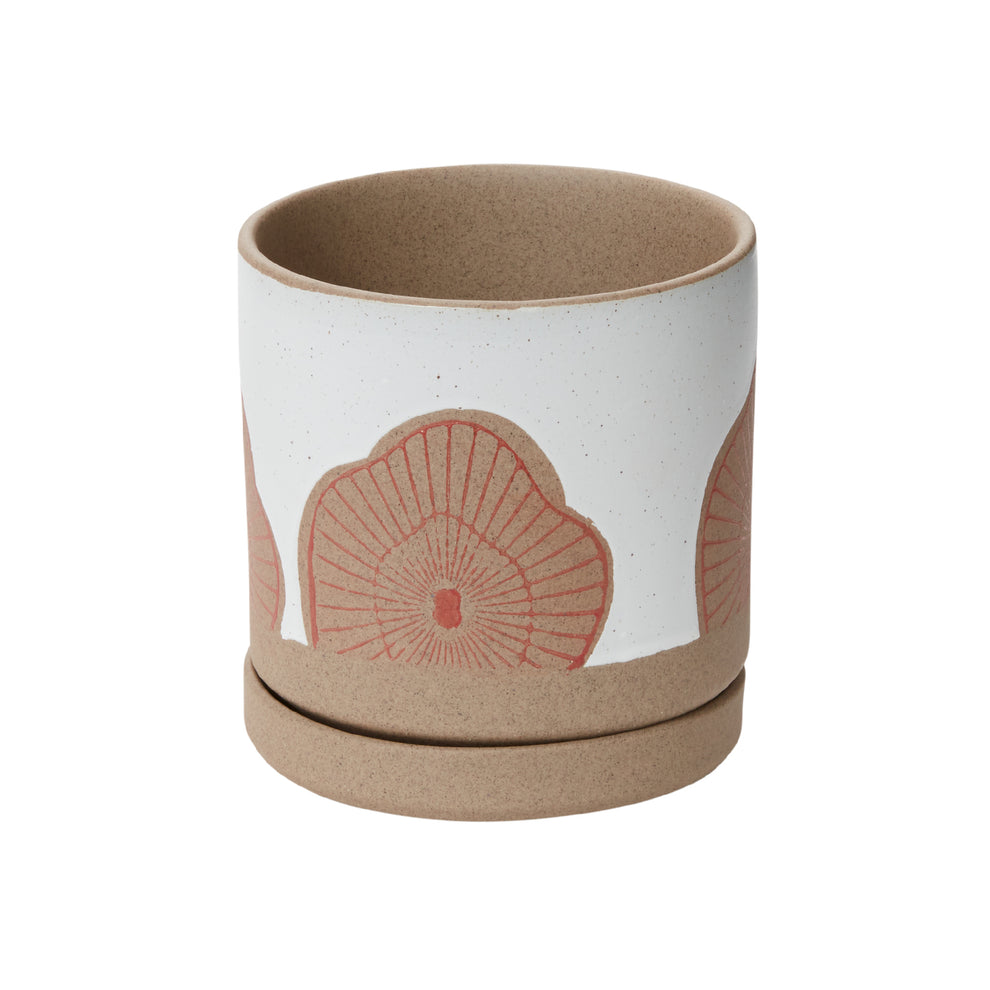 Protea Pot Set of 8 By Accent Decor | Planters, Troughs & Cachepots | Modishstore - 7