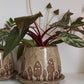 Wild Mushroom Pot with Saucer Set of 2 By Accent Decor | Planters, Troughs & Cachepots | Modishstore - 5