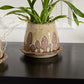 Wild Mushroom Pot with Saucer Set of 2 By Accent Decor | Planters, Troughs & Cachepots | Modishstore - 6