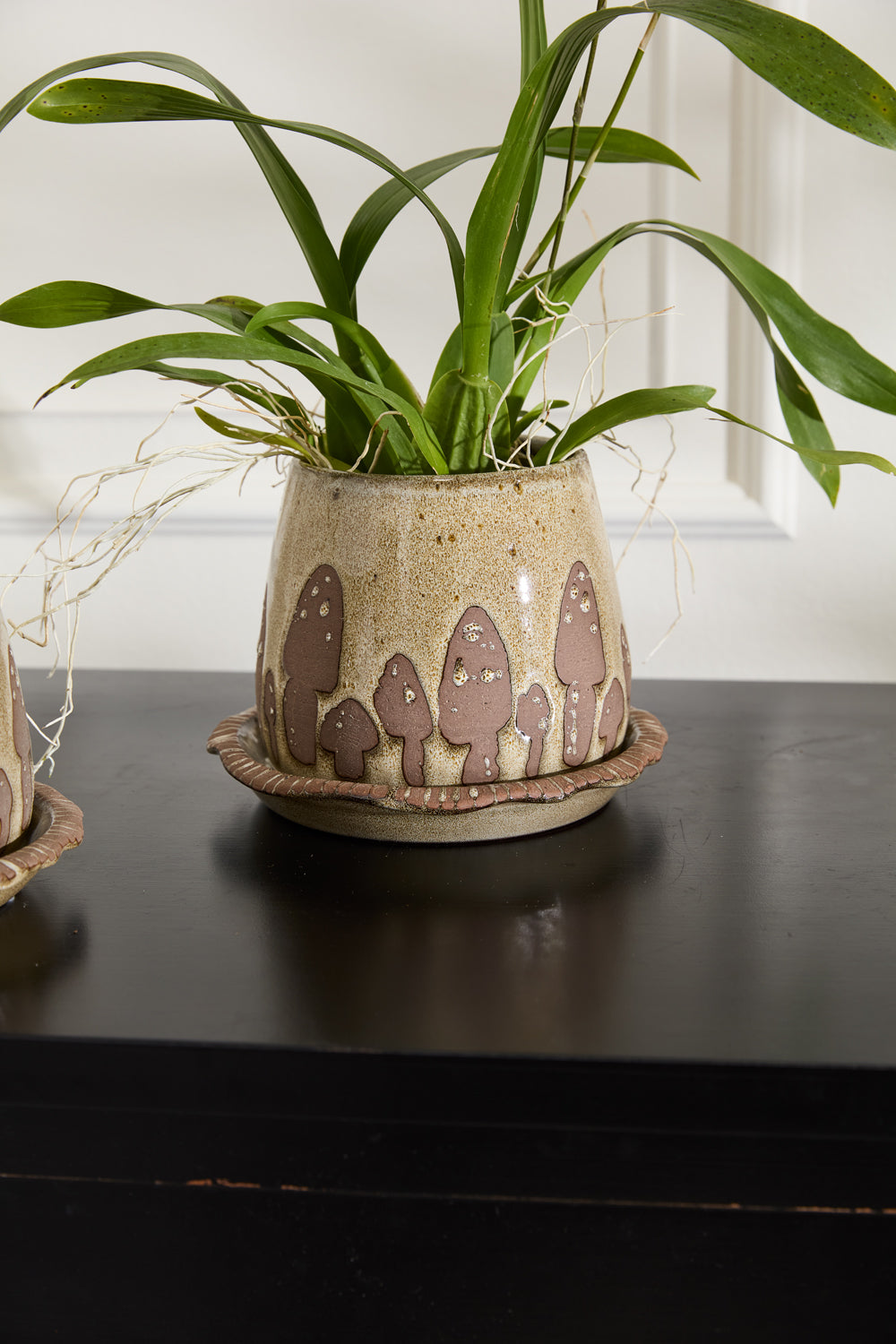 Wild Mushroom Pot with Saucer Set of 2 By Accent Decor | Planters, Troughs & Cachepots | Modishstore - 6