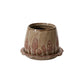 Wild Mushroom Pot with Saucer Set of 2 By Accent Decor | Planters, Troughs & Cachepots | Modishstore - 7
