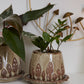 Wild Mushroom Pot with Saucer Set of 2 By Accent Decor | Planters, Troughs & Cachepots | Modishstore - 8