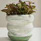 Greenway Pot Set of 2 By Accent Decor | Stands | Modishstore - 4