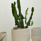 Salvage Pot By Accent Decor | Planters, Troughs & Cachepots | Modishstore - 7