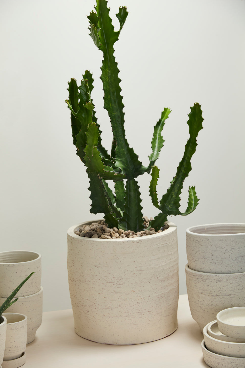 Salvage Pot By Accent Decor | Planters, Troughs & Cachepots | Modishstore - 7
