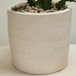Salvage Pot By Accent Decor | Planters, Troughs & Cachepots | Modishstore - 8