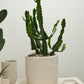 Salvage Pot By Accent Decor | Planters, Troughs & Cachepots | Modishstore - 9