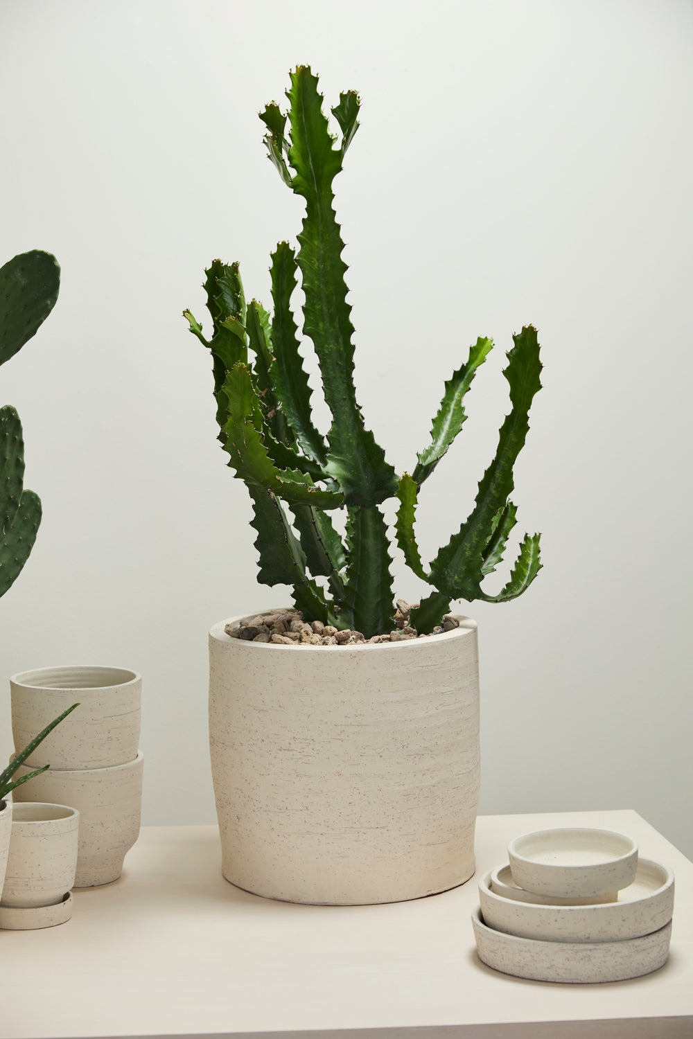 Salvage Pot By Accent Decor | Planters, Troughs & Cachepots | Modishstore - 9