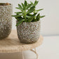 Verde Pot Set of 4 By Accent Decor | Planters, Troughs & Cachepots | Modishstore - 8