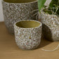 Verde Pot Set of 4 By Accent Decor | Planters, Troughs & Cachepots | Modishstore - 9