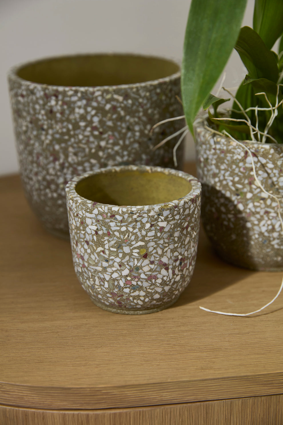 Verde Pot Set of 4 By Accent Decor | Planters, Troughs & Cachepots | Modishstore - 9