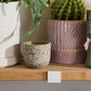 Verde Pot Set of 4 By Accent Decor | Planters, Troughs & Cachepots | Modishstore - 10