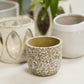 Verde Pot Set of 4 By Accent Decor | Planters, Troughs & Cachepots | Modishstore - 11