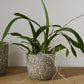 Verde Pot Set of 4 By Accent Decor | Planters, Troughs & Cachepots | Modishstore - 13