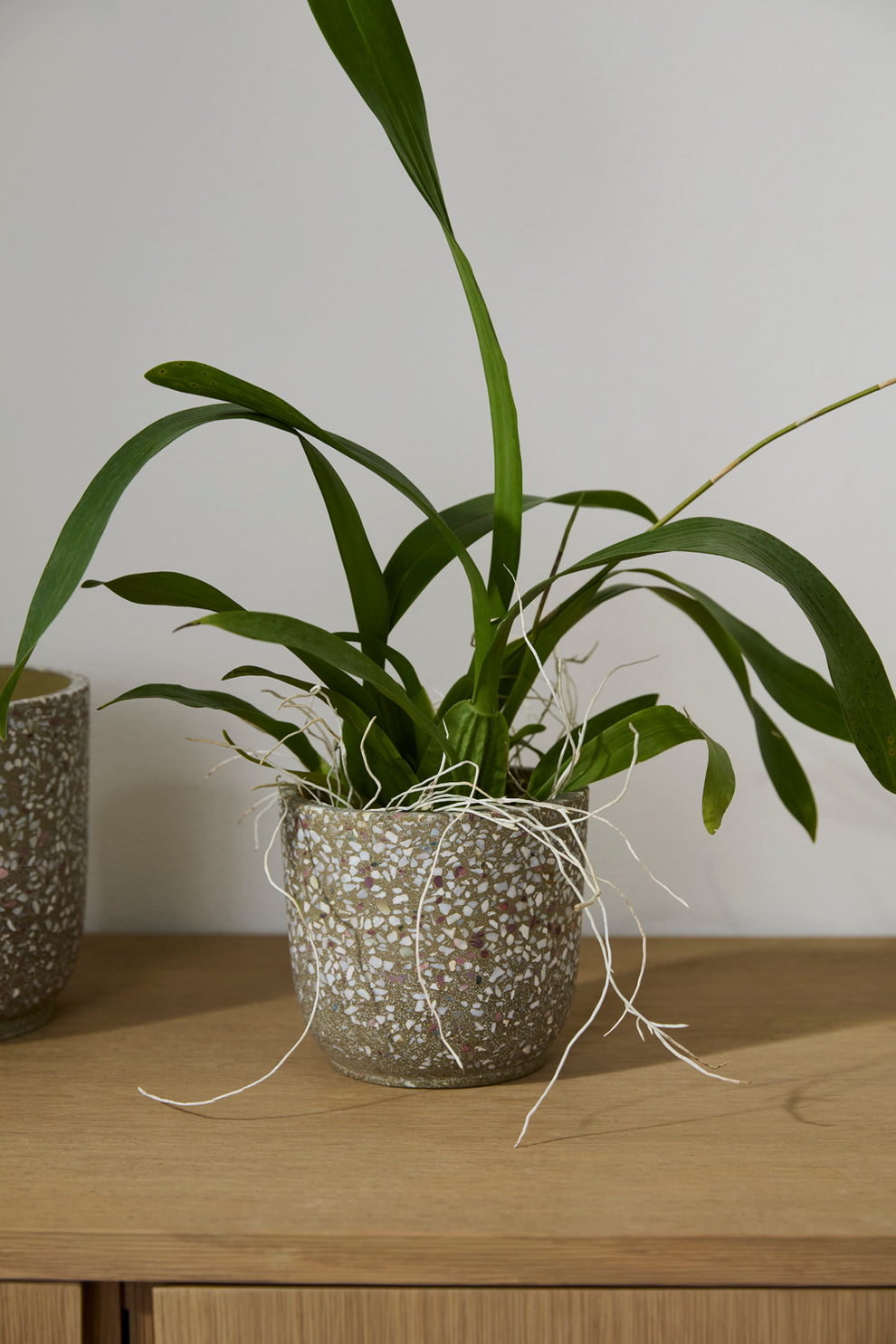Verde Pot Set of 4 By Accent Decor | Planters, Troughs & Cachepots | Modishstore - 13