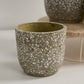 Verde Pot Set of 4 By Accent Decor | Planters, Troughs & Cachepots | Modishstore - 14