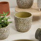 Verde Pot Set of 4 By Accent Decor | Planters, Troughs & Cachepots | Modishstore - 15