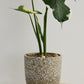Verde Pot Set of 4 By Accent Decor | Planters, Troughs & Cachepots | Modishstore - 17
