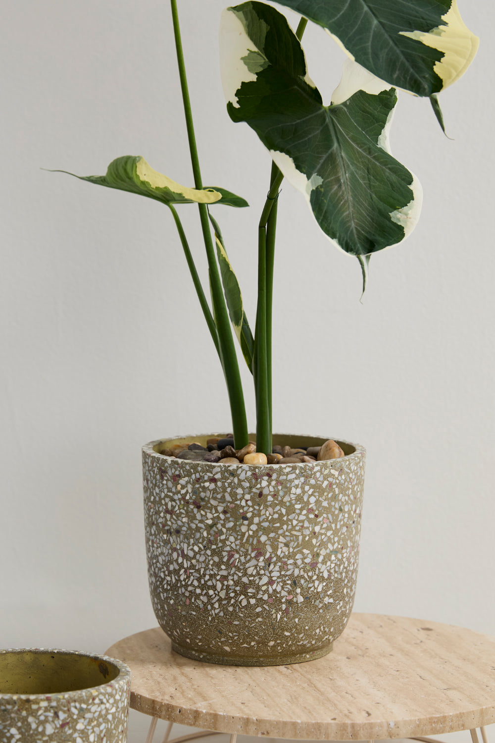 Verde Pot Set of 4 By Accent Decor | Planters, Troughs & Cachepots | Modishstore - 17