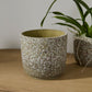 Verde Pot Set of 4 By Accent Decor | Planters, Troughs & Cachepots | Modishstore - 18