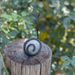 Stone Snail Set of 6 By Garden Age Supply