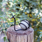 Stone Snail Set of 6 By Garden Age Supply