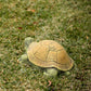 Green Turtle Set of 2 By Garden Age Supply