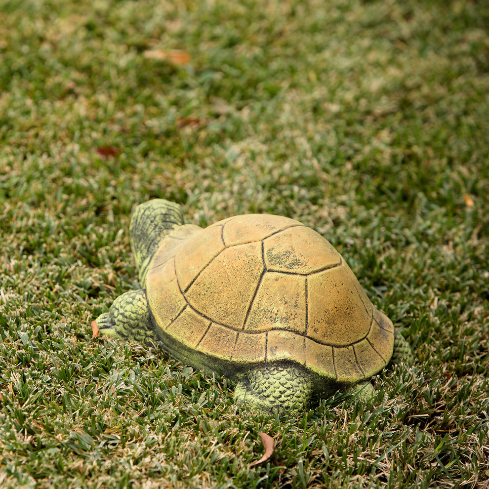 Green Turtle Set of 2 By Garden Age Supply | Sculptures | Modishstore - 4