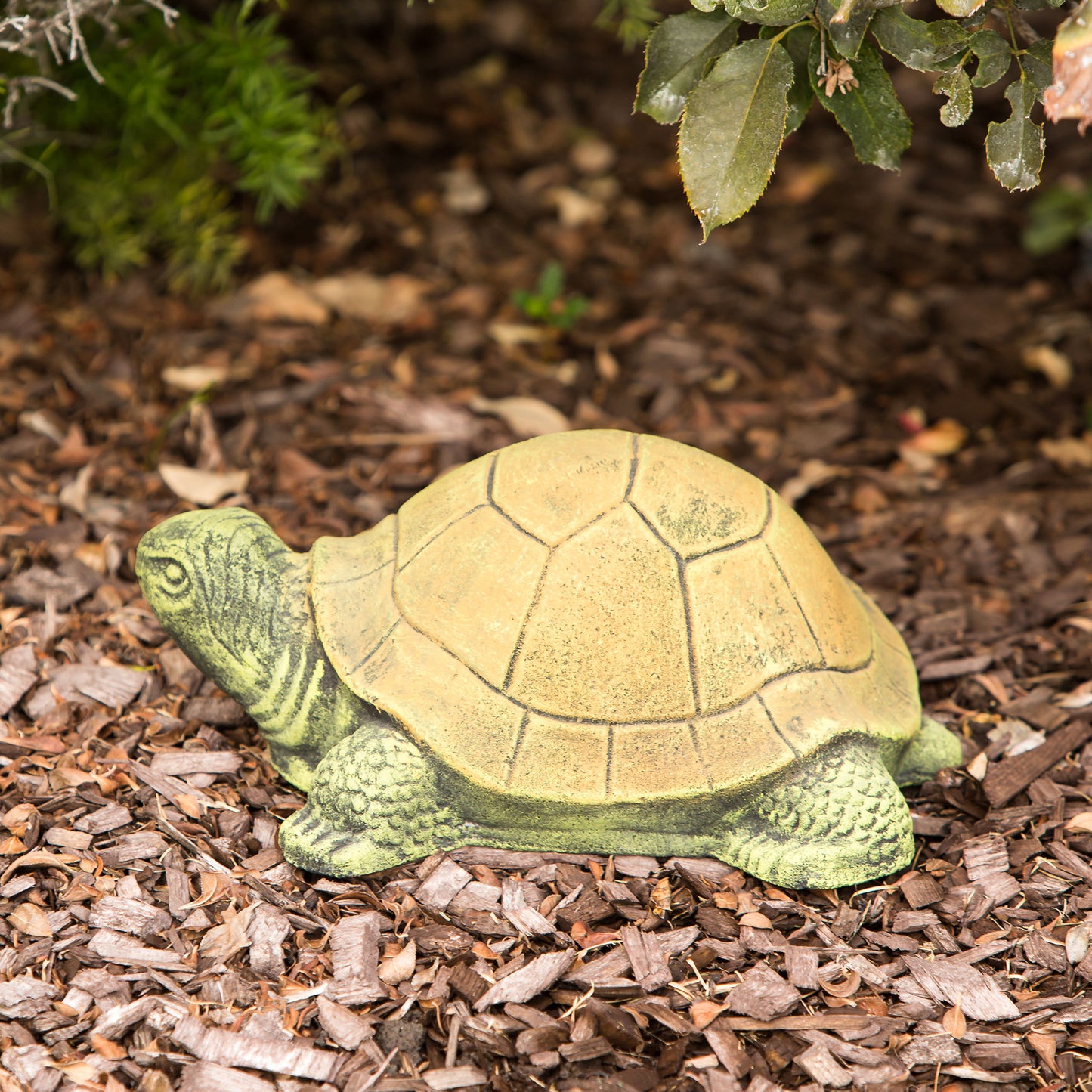 Green Turtle Set of 2 By Garden Age Supply