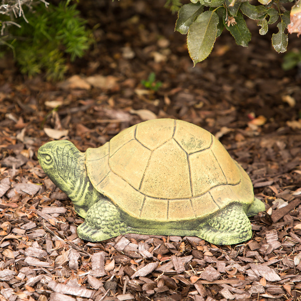 Green Turtle Set of 2 By Garden Age Supply | Sculptures | Modishstore - 2