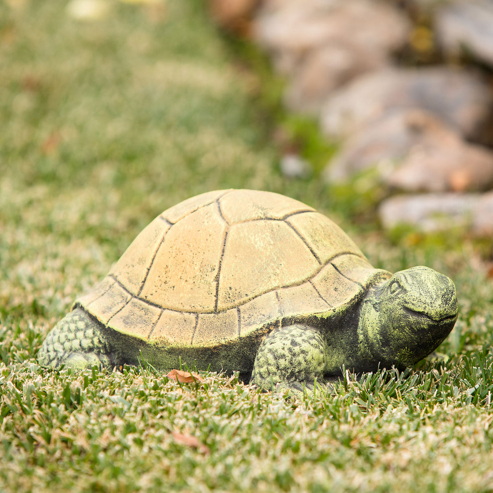 Green Turtle Set of 2 By Garden Age Supply | Sculptures | Modishstore - 3
